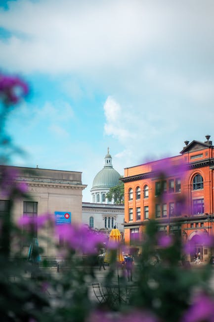 A cityscape featuring a mix of historic and modern buildings under a partially cloudy sky, with the prominent dome of a classical-style government or civic building visible in the background. In the foreground, blurred purple and pink flowers frame the scene, adding a sense of depth. To the left, a grey stone building with architectural detailing contrasts with a vibrant orange-brick structure on the right, both of which are part of a street scene where people are visible walking or engaging in activities. The area appears to be an outdoor public space, possibly near a park or town square, with some outdoor seating and street furniture. The image captures the urban environment in daylight, highlighting the architectural variety and the busy atmosphere typical of a town or city centre. This setting is reflective of a typical or historic part of Kingston Vale or similar locations, aligning with professional moving services provided by Man and Van Kingston Vale for house relocations involving transport, packing, and logistics.