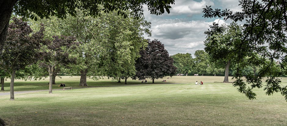 A spacious, well-maintained park with lush green grass and a variety of mature trees, including both leafy and darker-foliaged species, providing shade for visitors. Several individuals can be seen relaxing on benches or sitting on the grass, enjoying the outdoor environment. In the foreground, a partly open door leading from a building is visible, with a moveable trolley or dolly nearby used for transporting boxes or furniture. A collection of cardboard boxes, wrapped furniture, and packing materials are positioned near the building entrance, indicating a home relocation or packing process taking place. An open vehicle, such as a van, is parked on the pavement adjacent to the building, loaded with household items ready for transport, reflecting a professional removals operation by Man and Van Kingston Vale. The scene is illuminated by natural daylight under a partly cloudy sky, capturing the transition from indoor packing and loading to outdoor moving activities typical of house removals and furniture transport services.